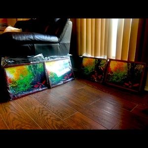 Four Art framed with back cushioned